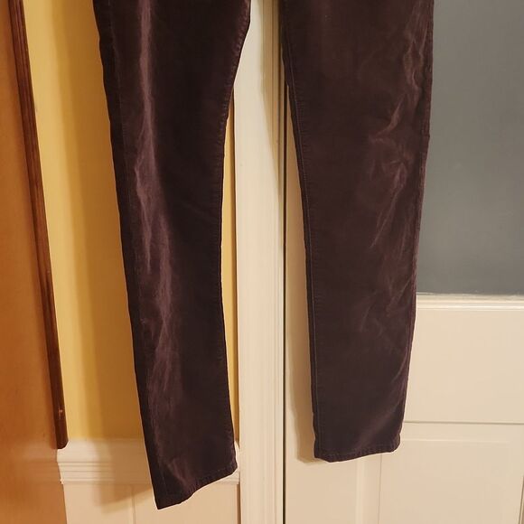 Adriano Goldschmied Anthropologie Dark Brown Stevie Slim Ankle Pants Size 28R 6R - Picture 3 of 11